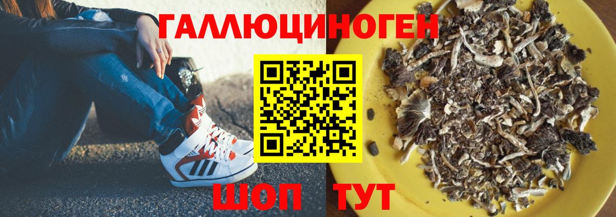Псилоцибиновые грибы мицелий  Псилоцибиновые грибы MAGIC MUSHROOMS  Боровичи  Вход с VPN 