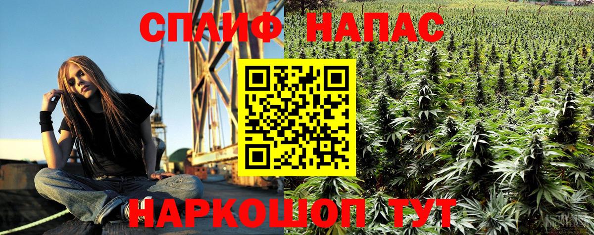 Каннабис OG Kush  Шишки марихуана индика  Боровичи  Канабис планчик  Вход с VPN 